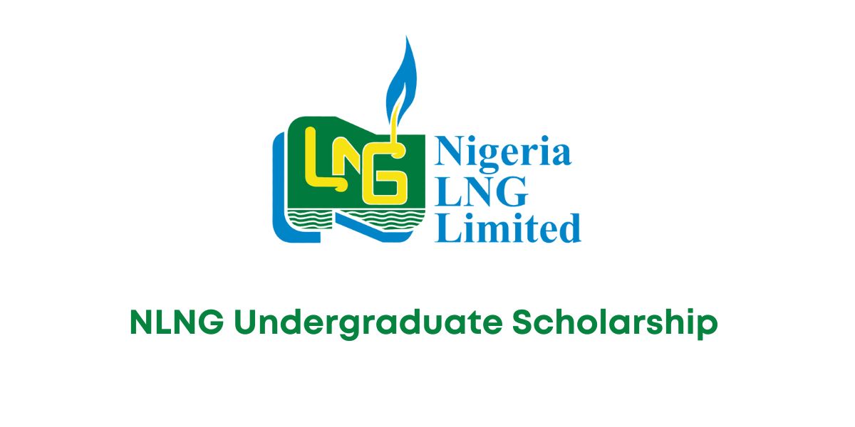 NLNG Undergraduate Scholarship