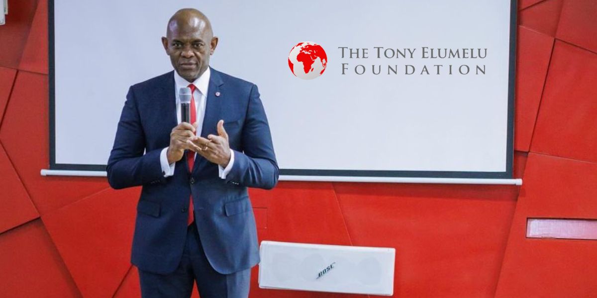 Tony Elumelu Foundation Grant (TEF)