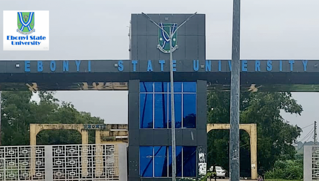 Ebonyi State University