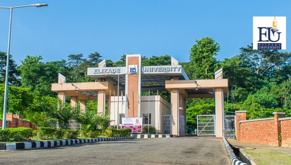 Elizade University