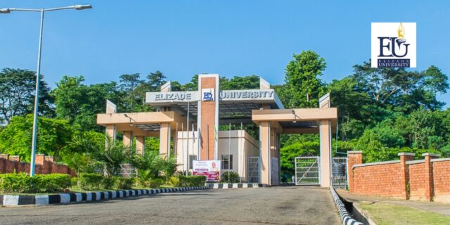 Elizade University