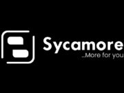 NYSC Customer Support Intern at SycamoreNG SycamoreNG