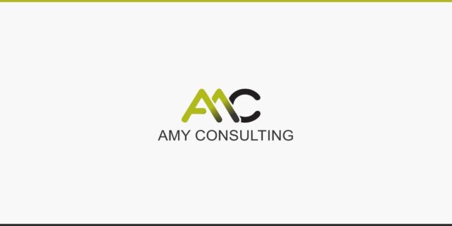 Amy Consulting