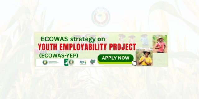 ECOWAS Youth Employability Project