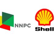 2025 NNPC/SNEPCo Scholarship For Undergraduate Students NNPCSNEPCo