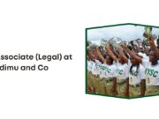 NYSC Associate at Olushodimu and Co NYSC Associate at Olushodimu and Co