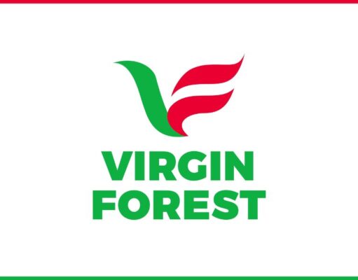 Cashier Needed at Virgin Forest Energy Limited Virgin Forest Energy Limited