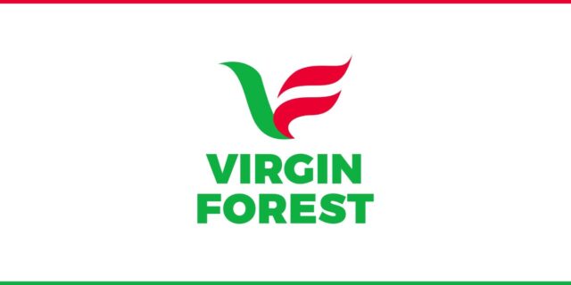 Virgin Forest Energy Limited