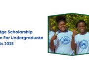 The Bridge Scholarship Program For Undergraduate Students 2025 The Bridge Scholarship Program