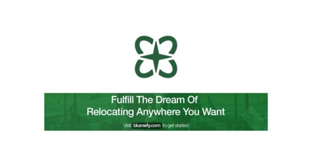 Blumefy Limited Blumefy Limited