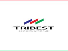 Call Centre Representative at Tribest Coporate Support Ltd Tribest Coporate Support Ltd