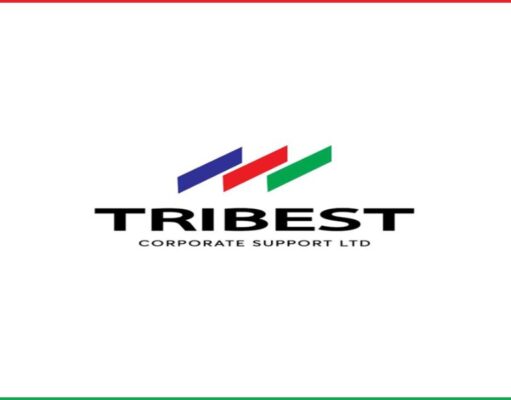 Call Centre Representative at Tribest Coporate Support Ltd Tribest Coporate Support Ltd