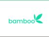 Remote Customer Experience Analyst at Bamboo Technology Bamboo