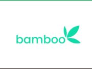 Remote Customer Experience Analyst at Bamboo Technology Bamboo