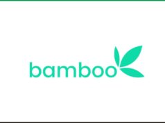 Remote Customer Experience Analyst at Bamboo Technology Bamboo
