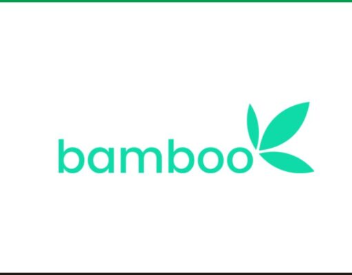 Remote Customer Experience Analyst at Bamboo Technology Bamboo