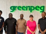 2025 Graduate Trainee Programme at Greenpeg Nigeria Limited GreenPeg
