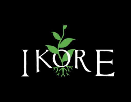 Ikore International Graduate Trainee Program 2026 Ikore