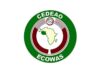 Office Assistant at Economic Community of West African States (ECOWAS) ECOWAS