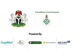 Federal Government NiYA Startup Pitch For Nigerian Youth (2.0) Federal Government NiYA Startup Pitch