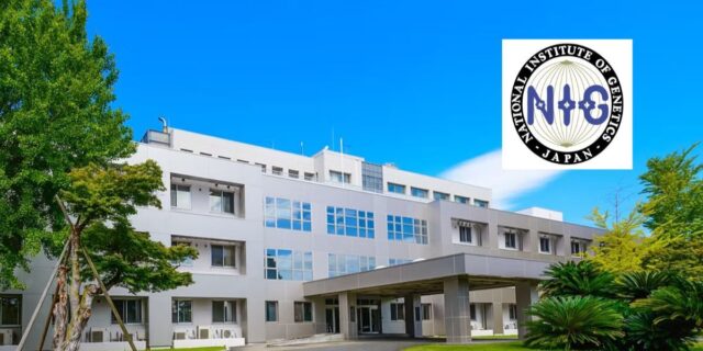 NIG Internship Program