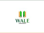 Graduate Interns at Wale University (Remote) Wale University