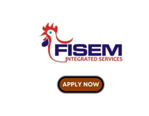 Human Resource Officer at Fisem Integrated Services Fisem Integrated Services