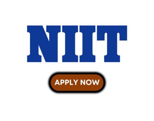 Data Entry Officer at NIIT NIIT