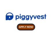 Customer Success Intern at PiggyTech Global Limited (“PiggyVest”) PiggyTech Global Limited
