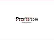 NYSC Digital Marketer at Proforce Limited Proforce Limited