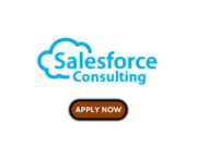 Graduate Intern at Sales Force Consulting Sales Force Consulting