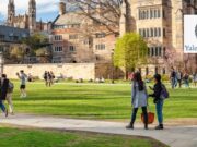 Yale University Undergraduate Research Scholarship 2026| Fully Funded Scholarship in US Yale University