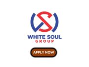 Front Desk Officer at White Soul Group white soul group
