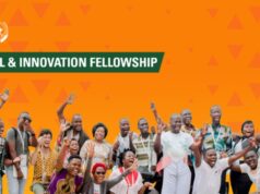 African Union Digital and Innovation Fellowship Program 2026 African Union Digital and Innovation Fellowship Program