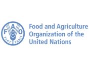 Administrative Assistant at Food and Agriculture Organization (FAO-UN) FAO-UN