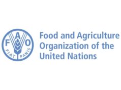 Administrative Assistant at Food and Agriculture Organization (FAO-UN) FAO-UN