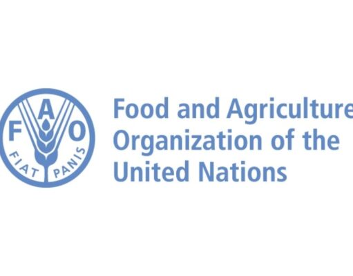 Administrative Assistant at Food and Agriculture Organization (FAO-UN) FAO-UN