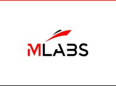 Remote Jobs at MLabs – 3 Positions MLABS