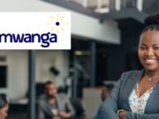 Entry-Level Job at Mwanga Limited Mwanga Limited