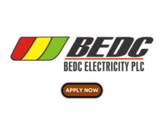 Call Centre Agent at Benin Electricity Distribution Plc. (BEDC) Benin Electricity Distribution Plc (BEDC)