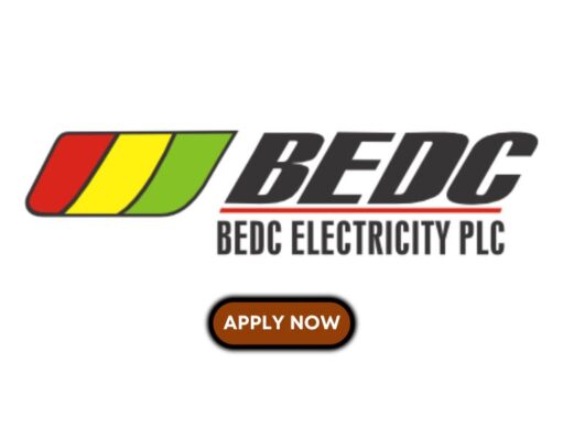 Call Centre Agent at Benin Electricity Distribution Plc. (BEDC) Benin Electricity Distribution Plc (BEDC)