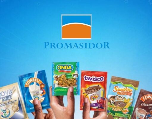 Accounts Receivable Officer at Promasidor Promasidor