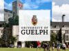University of Guelph Scholarship 2026 | Fully Funded Scholarship in Canada University of Guelph