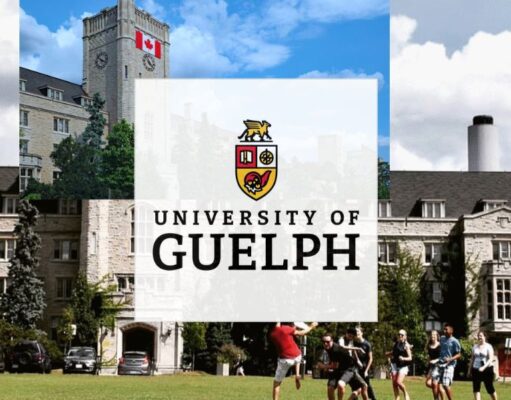 University of Guelph Scholarship 2026 | Fully Funded Scholarship in Canada University of Guelph